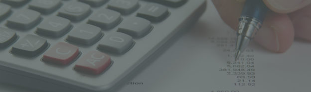 Chartered Accountants Since 1992: A Legacy of Trust and Expertise