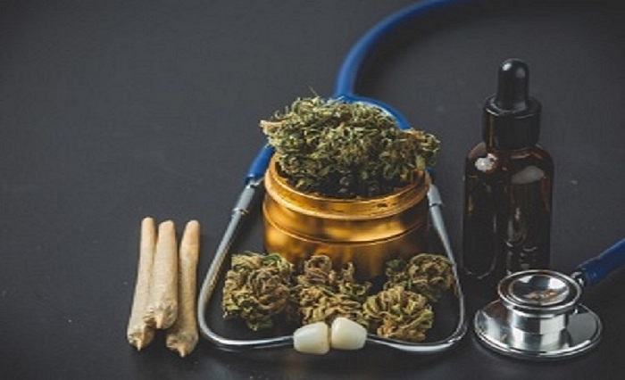 A Complete Guide to Alderville Dispensary: What Visitors Should Know