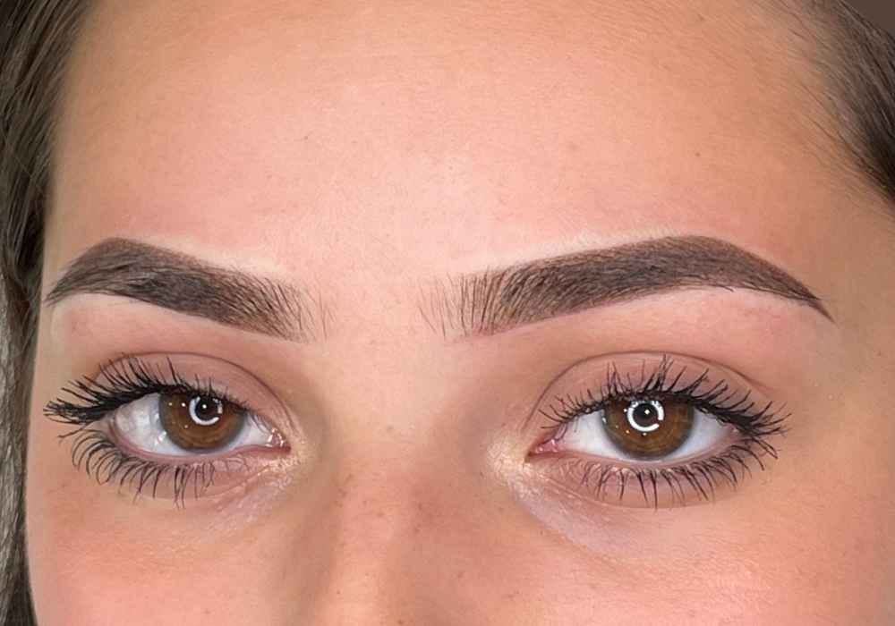 Exploring the Different Techniques: Ombre Powder Brows vs. Microshading