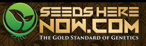 Buy Autoflowering feminized seeds