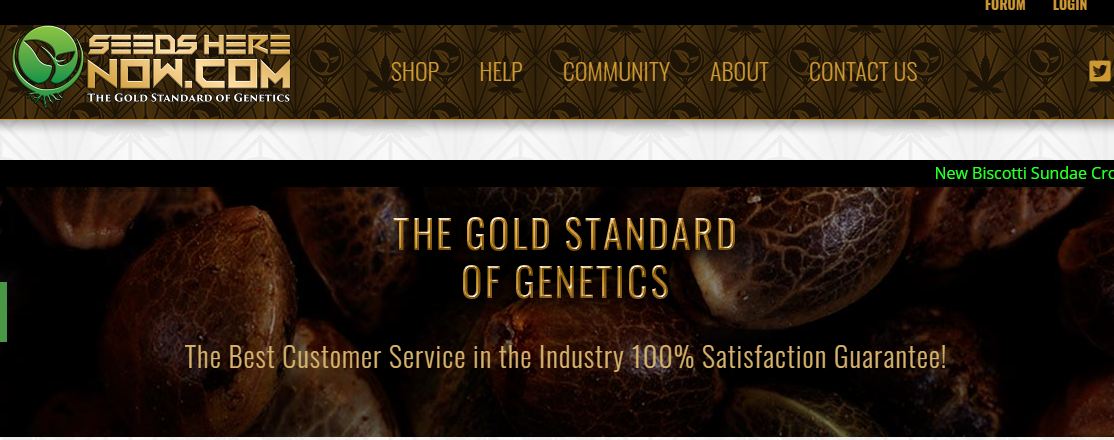 Dj short seed bank online