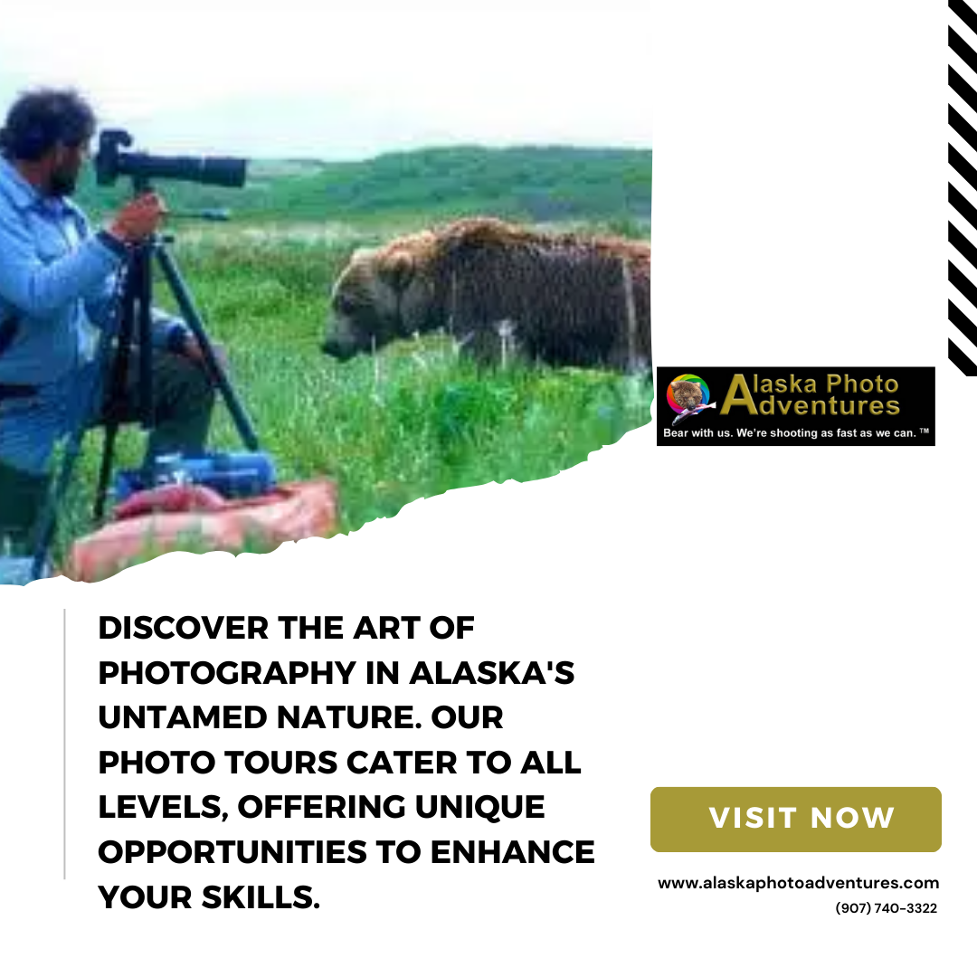 Capturing the Soul of Wildlife: Elevating Your Photography Journey