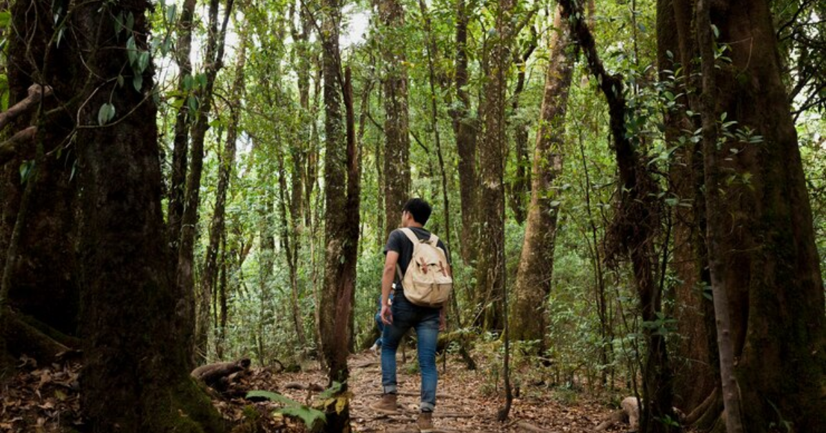 Nature's Bounty: Sundarban Tourism Places That Will Leave You Awestruck with Sundarban Delta Tourism