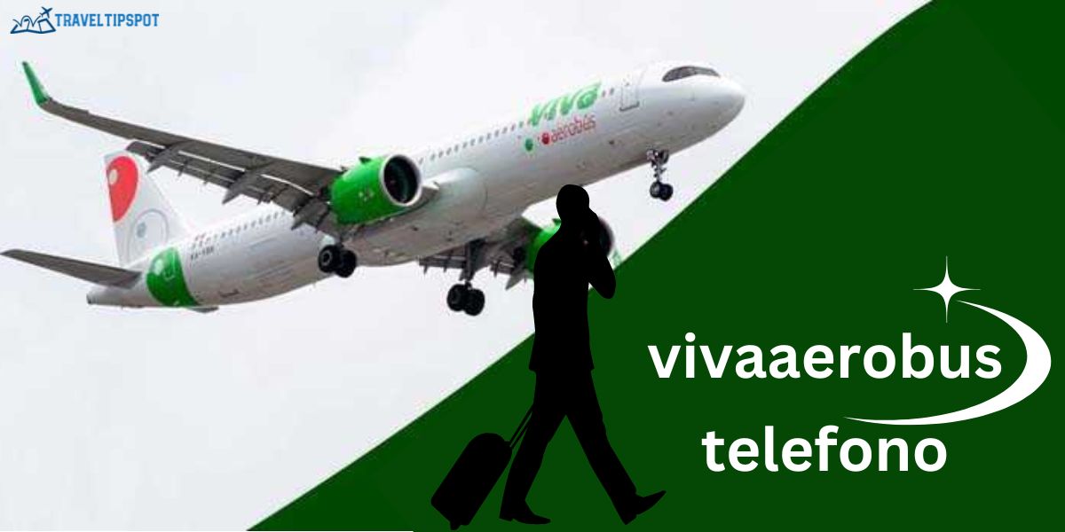 ¿Cómo contactar al teléfono de vivaaerobus?