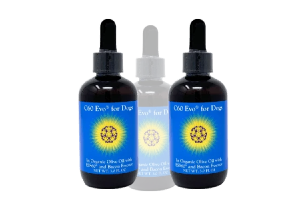 C60 Evo MCT Oil: A Game Changer in Dog Supplements