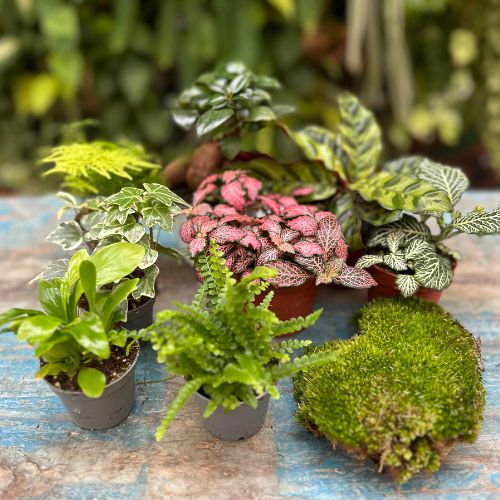 Bomboniere per Matrimonio: Idee Uniche e Green per un Giorno Speciale