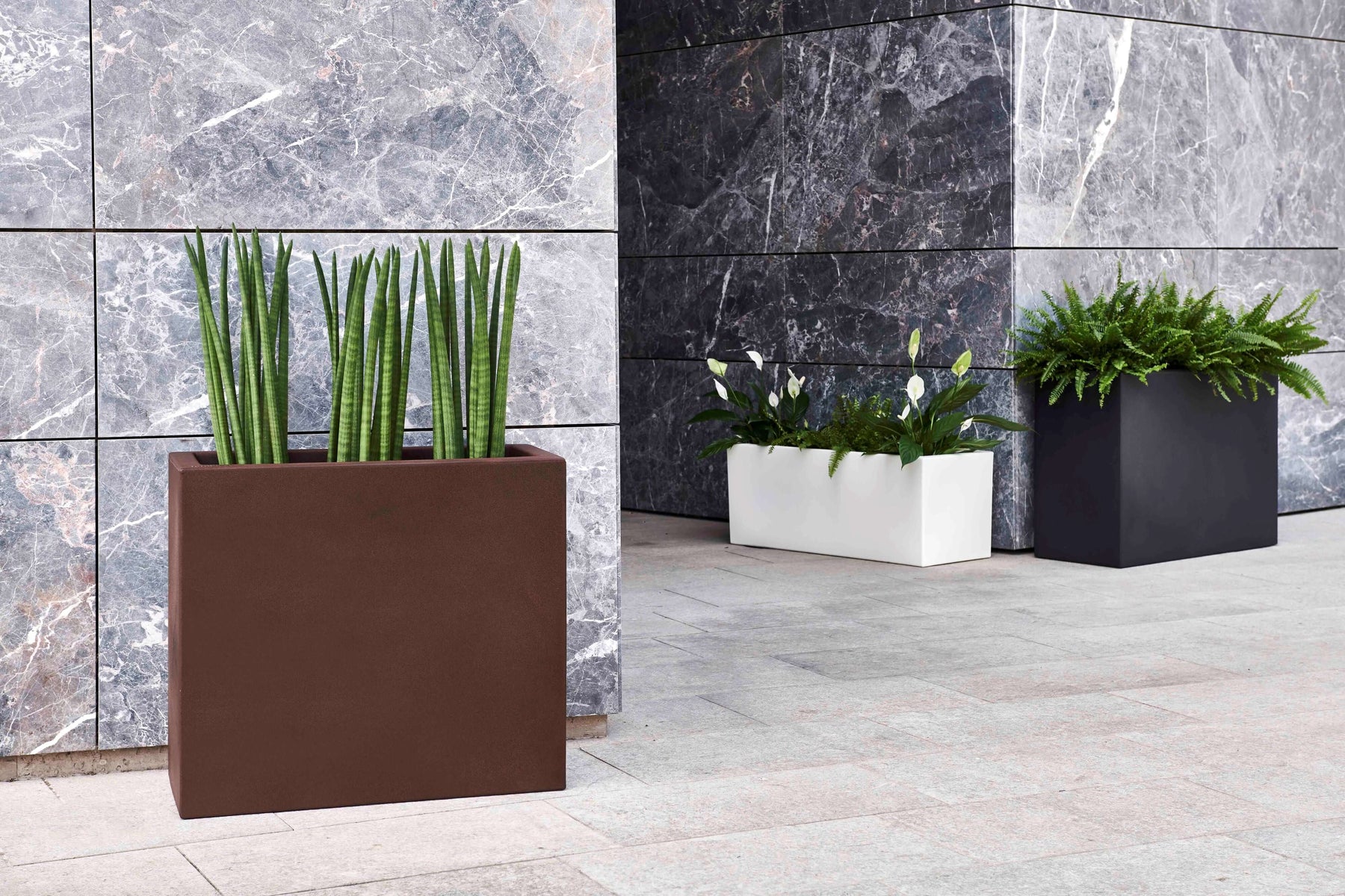 Vasi per Piante: Guida alla Scelta Perfetta per Ogni Ambiente