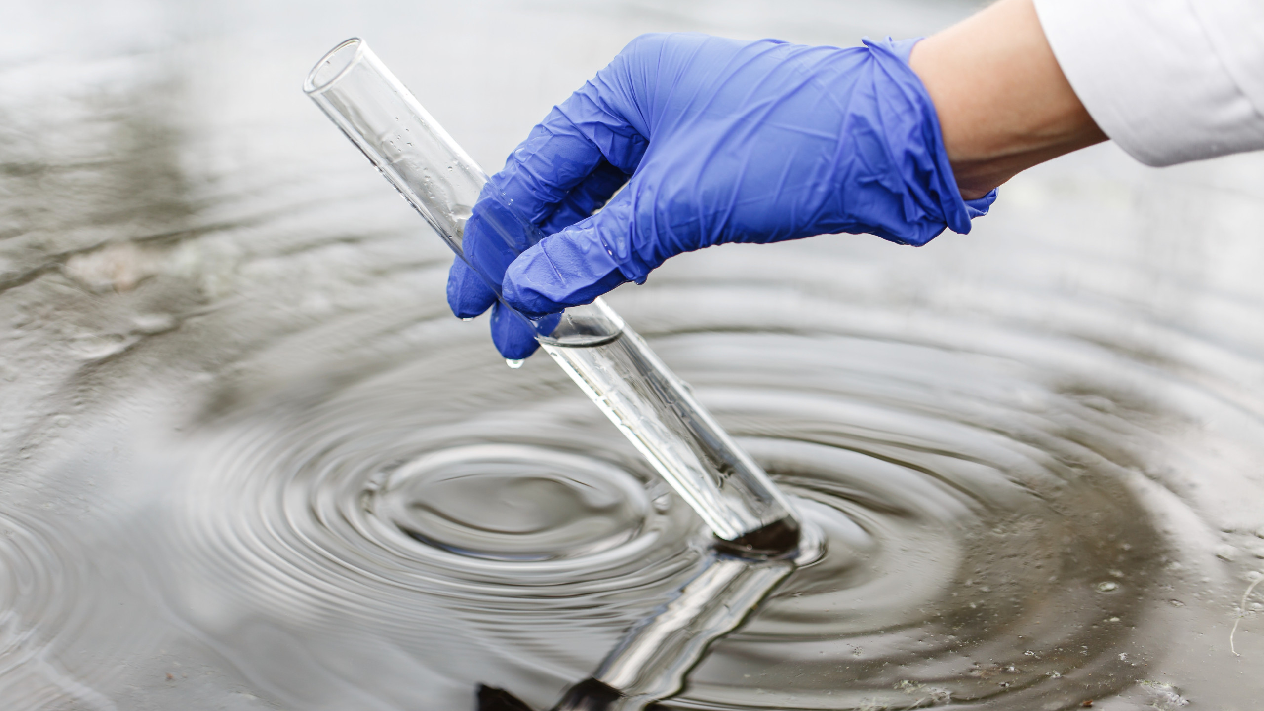 Top 5 Home Upgrades to Improve Water Quality