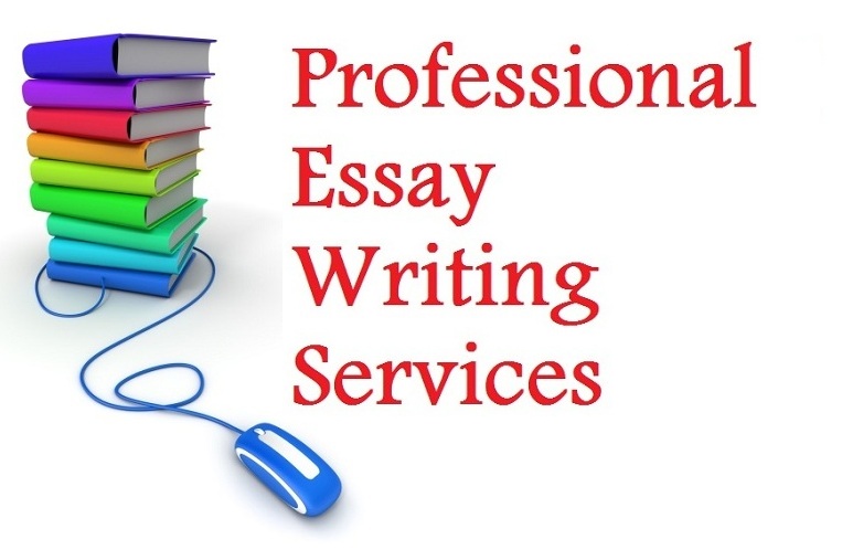 What Should You Keep in Mind While Looking for Essay Writing Help?