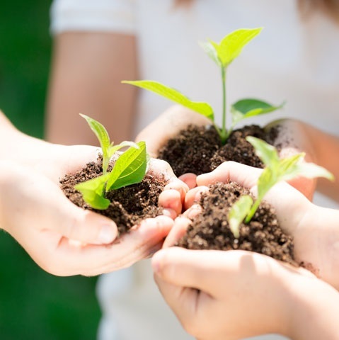 Welspun Living: Leading ESG Sustainability in India’s Textile Industry