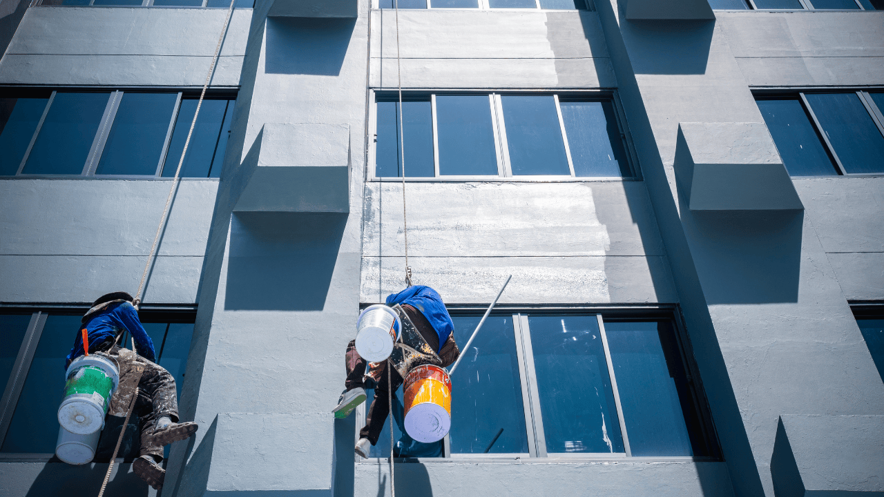 Your Essential Guide to Finding the Best Painters in Sydney