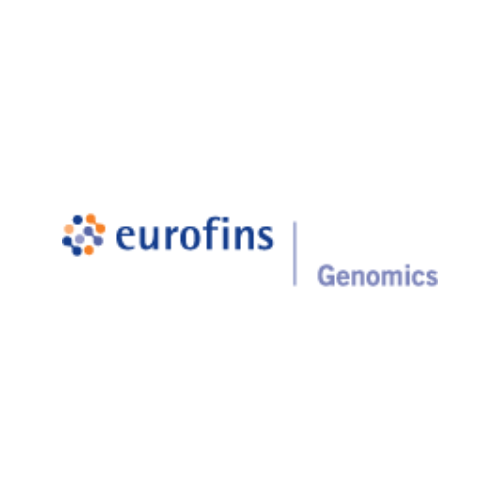 Unlocking the Power of Custom Gene Synthesis in Molecular Biology