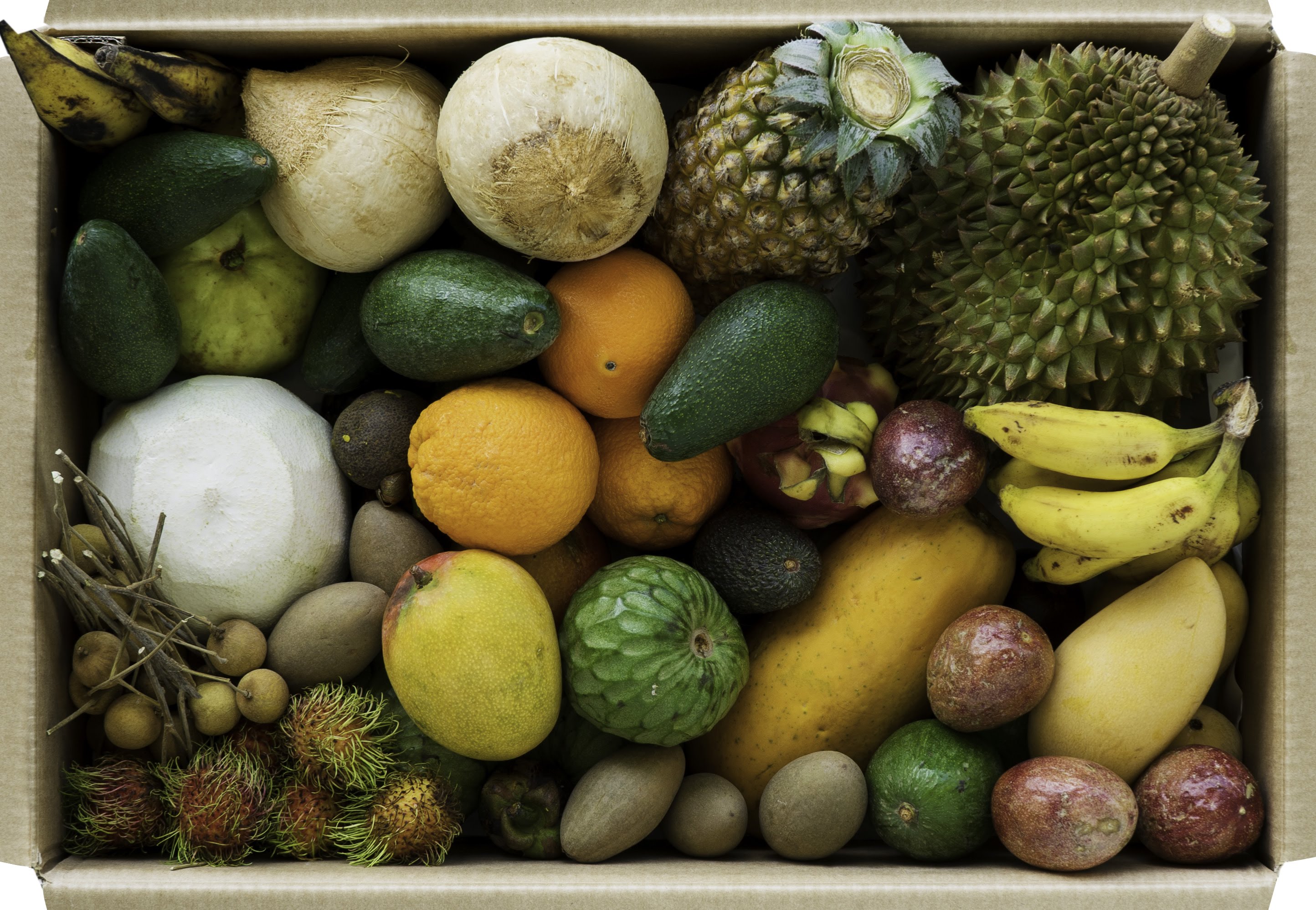 Discovering Exotic Fruits: Unveiling the Unique and Flavorful World of Tropical Produce