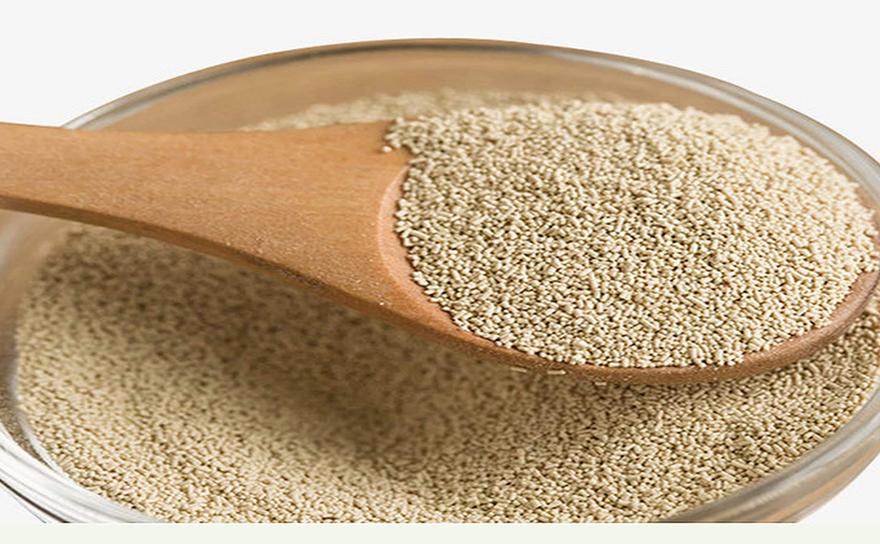 Bakers Yeast Market Size & Share Analysis 2031