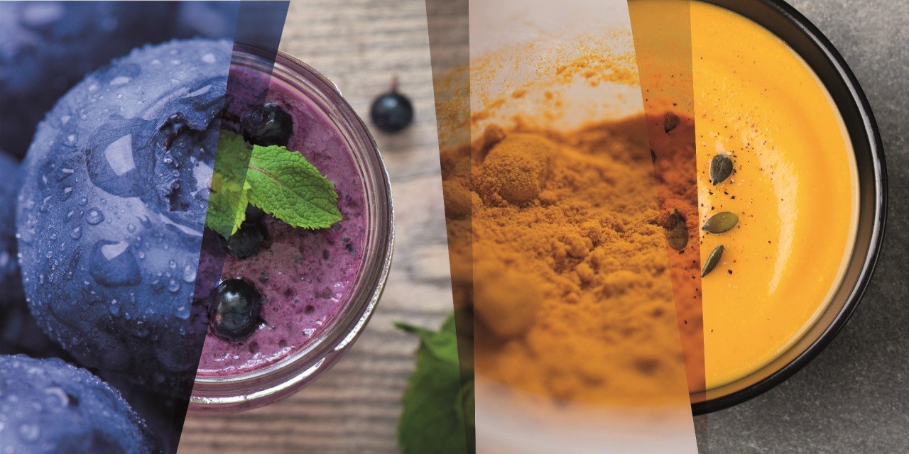 Taste Modulators Market: Trends, Opportunities & Forecast 2031