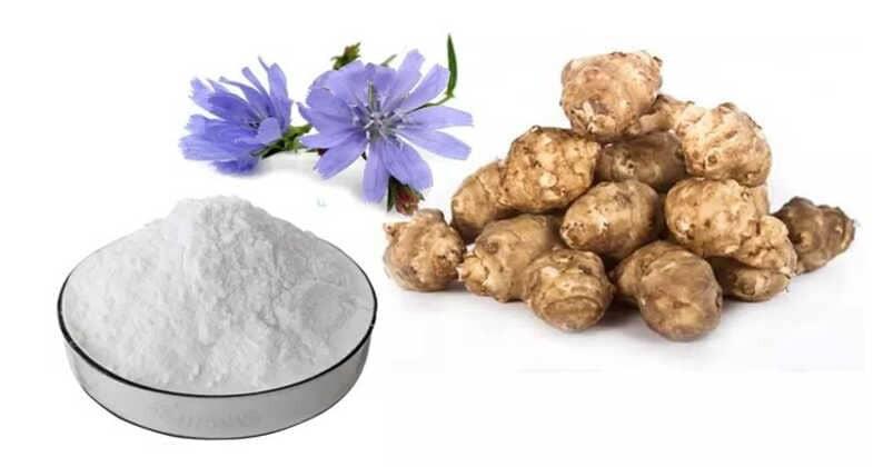 Inulin Market Size, Growth, and Strategic Outlook 2025-2032