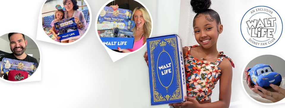 disney monthly subscription box