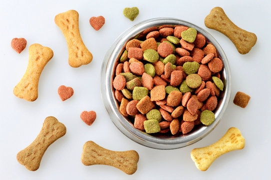 Pet Food Bowl Market is witnessing growing demand for stylish and affordable feeding solutions