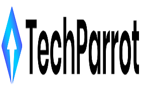 Salesforce Development Solutions  - TechParrot