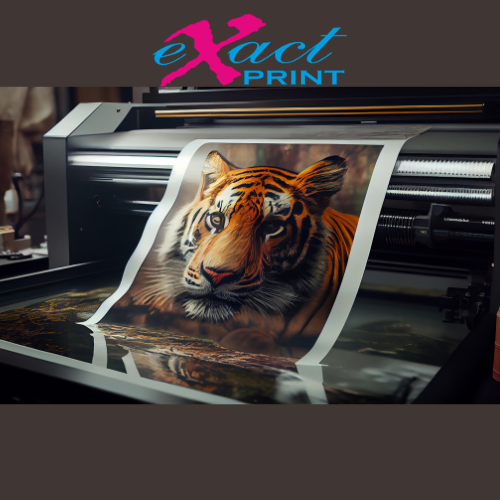 Adopting Environmentally Conscious Printing Solutions