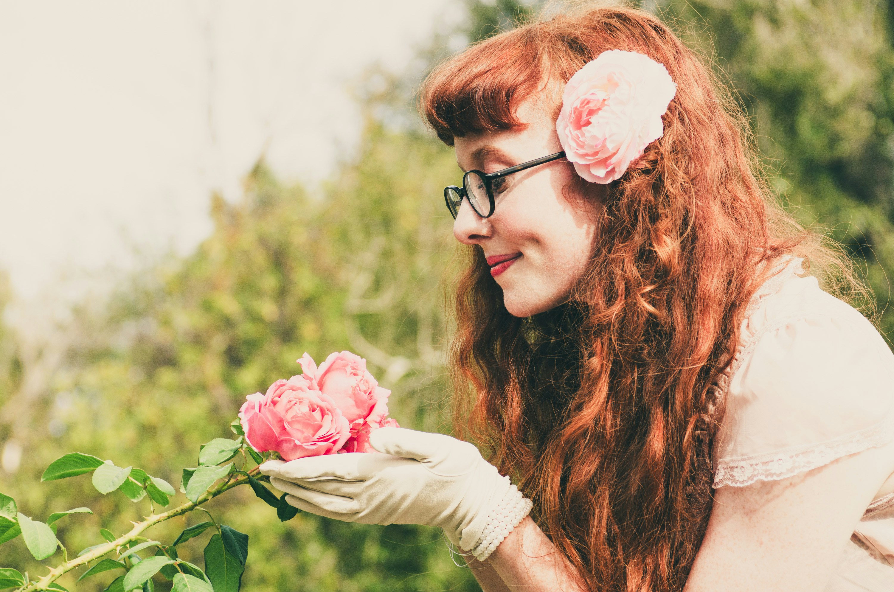 Unveiling the Exquisite World of Australian Native Flowers