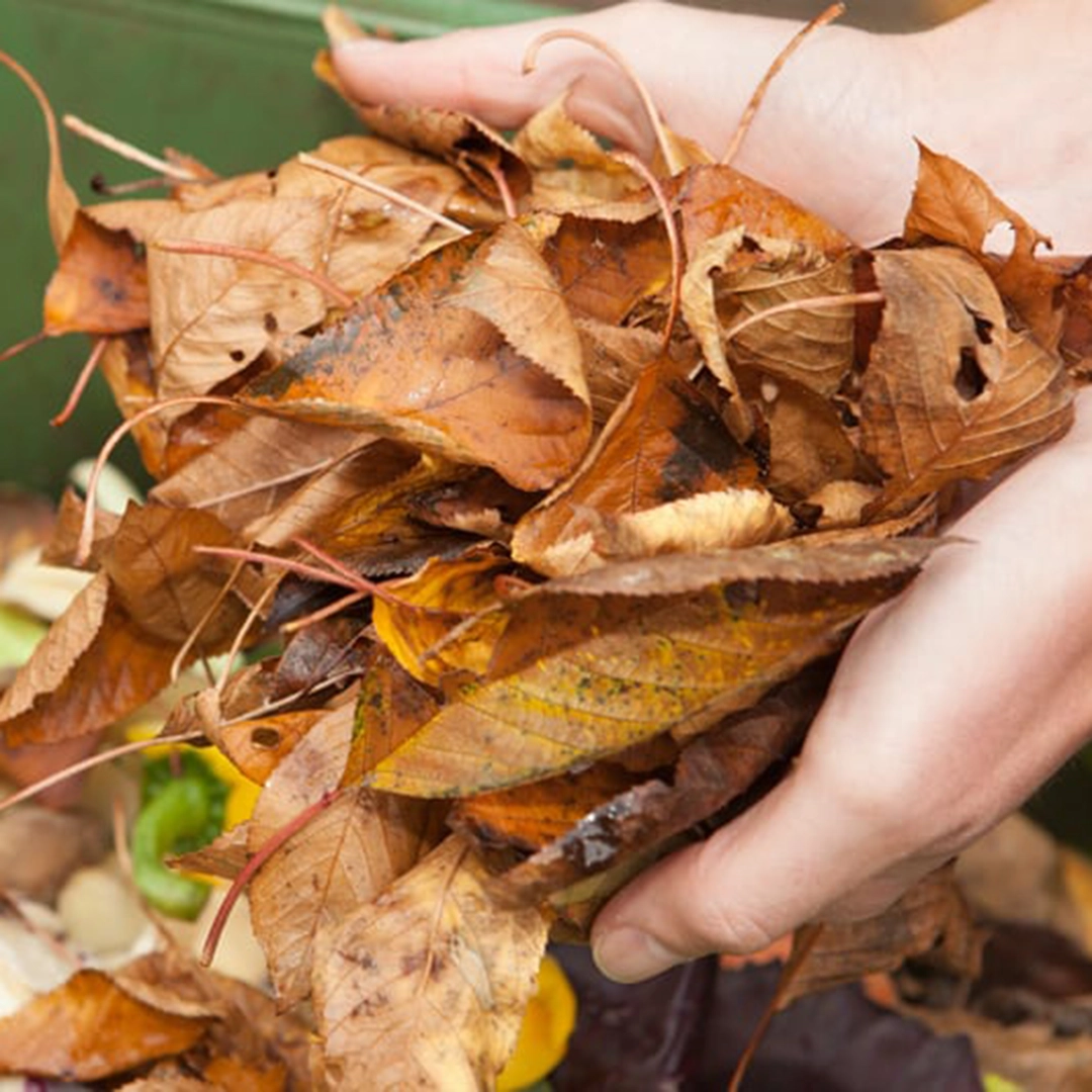  Recycle Right, Live Green: Dry Waste Made Easy