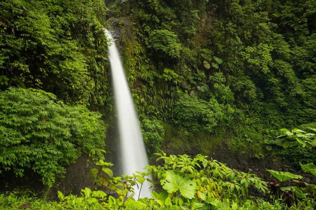 Exploring the Waterfalls Along the Hana Highway