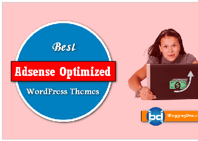 10+ Best Adsense Optimized WordPress themes for good revenue 2019