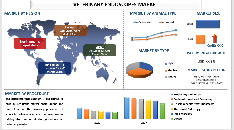 Veterinary Endoscopes Market Analysis and Forecast (2021-2027)
