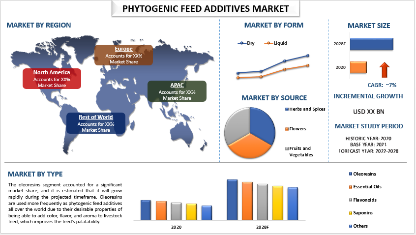 Phytogenic Feed Additives Market: Growth, Benefits, and Future Trends