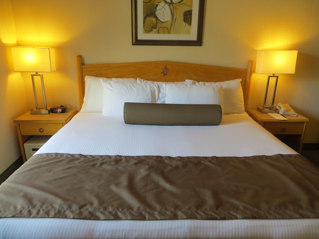 What are the services includes in General Services?