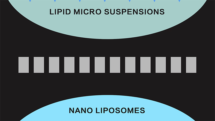 Liposome & Lipid Nanoparticle Preparation and Production Equipment