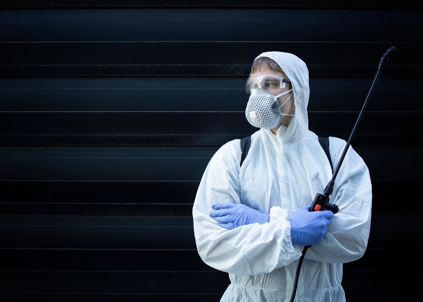 Comprehensive Pest Control Strategies for Gilbert, Arizona Residents