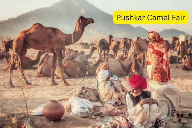 Complete Pushkar Camel Fair Guide