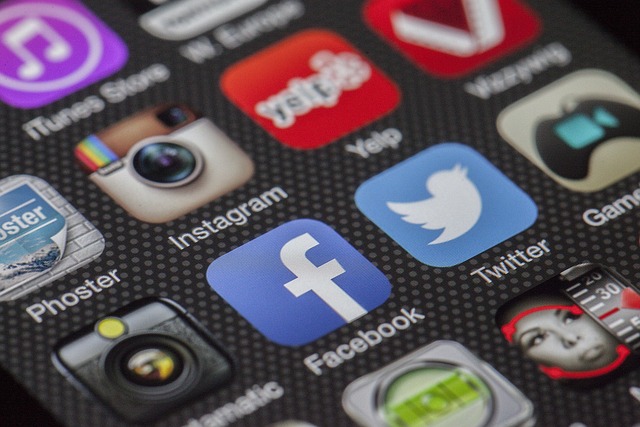 The Role of SMM Panels in Social Media Advertising