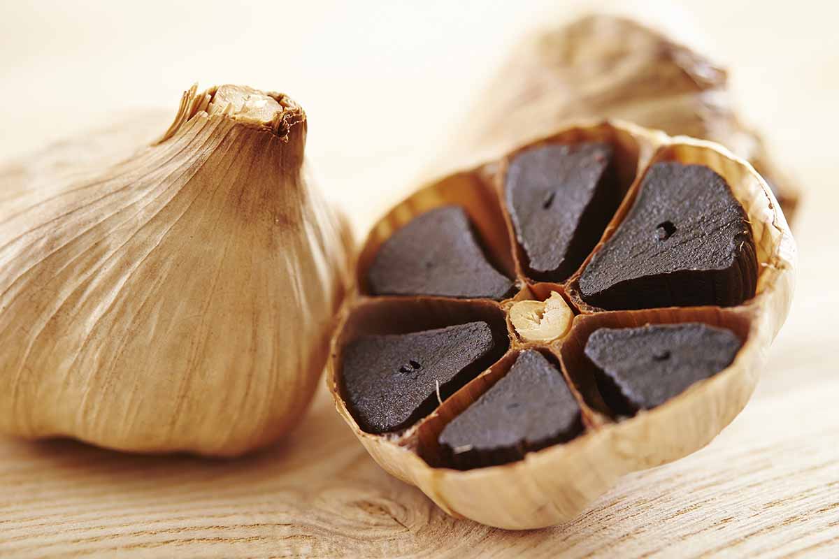  How Does a Black Garlic Company Craft Perfection?