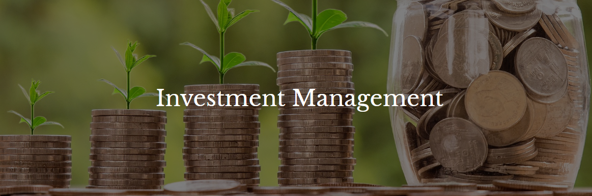Creating a Successful Investment Plan for Your Retirement with Safe Harbor