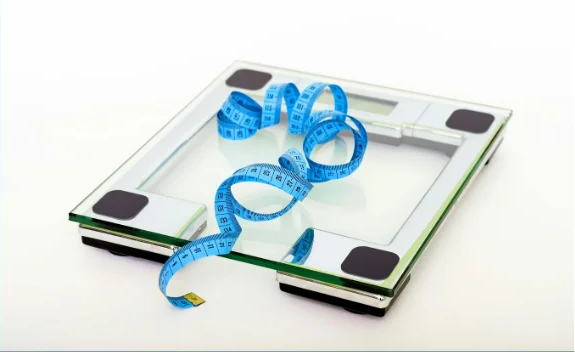Molecular Weight Marker Market 2024-2033