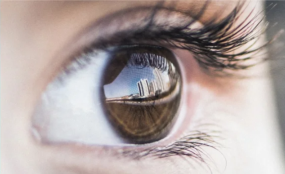 Amblyopia Market 2024-2033