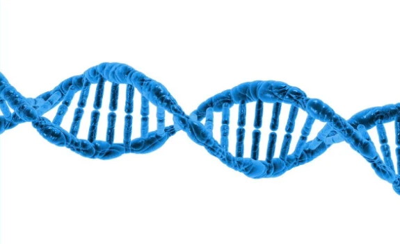 Histone Deacetylase Inhibitors Market Growth Trajectory Through 2024-2033