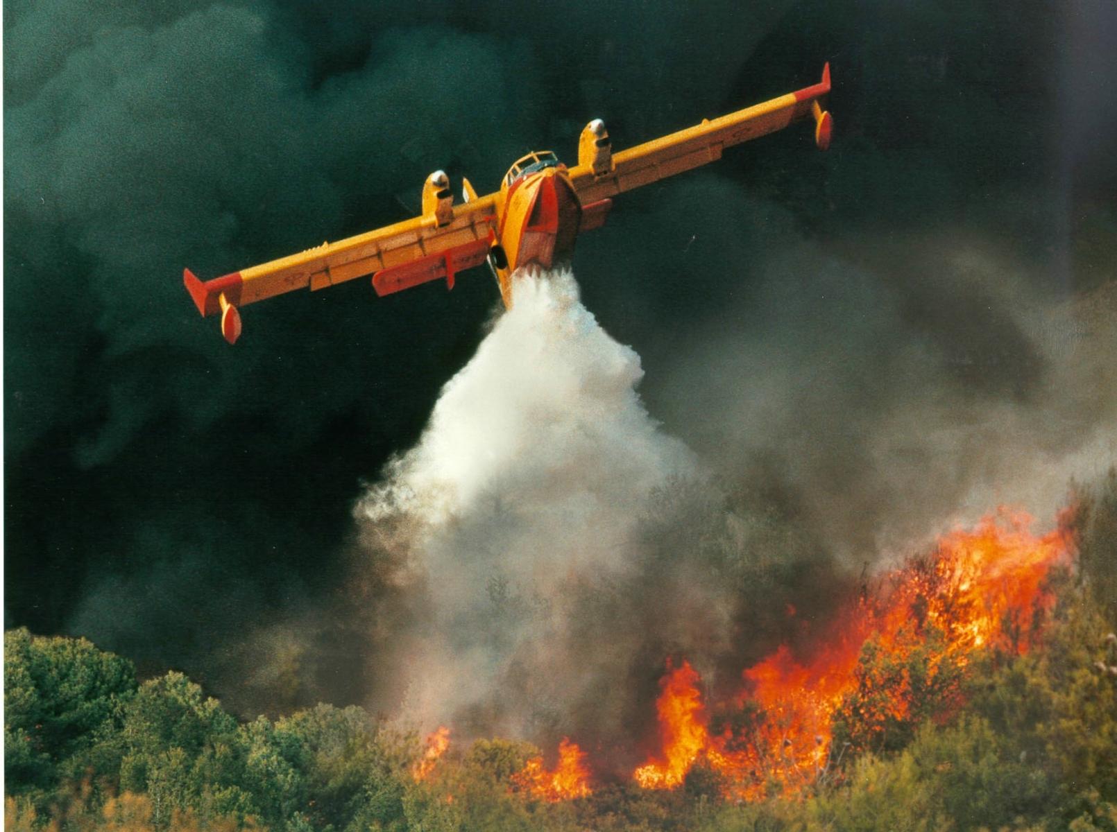 Aerial Firefighting Market Trends, Key Vendors Analysis and Forecast by 2031