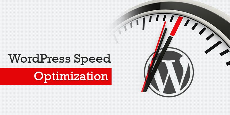 WordPress Speed Optimization Service