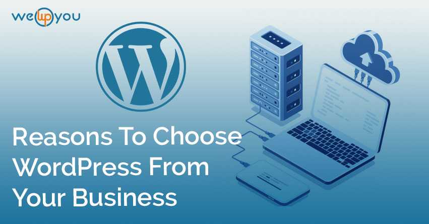 Reasons to Choose WordPress From Your Business