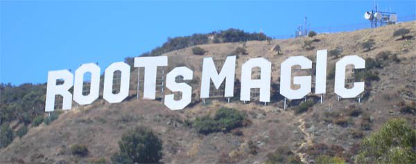 Can you Run RootsMagic 7 on Catalina?