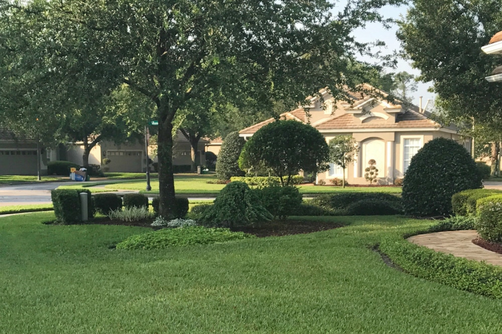 Understanding Termites in Oviedo: Pest Control and Prevention