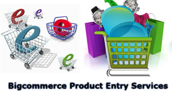 Bigcommerce Product Entry | Outsource Ecommerce Data Entry Services