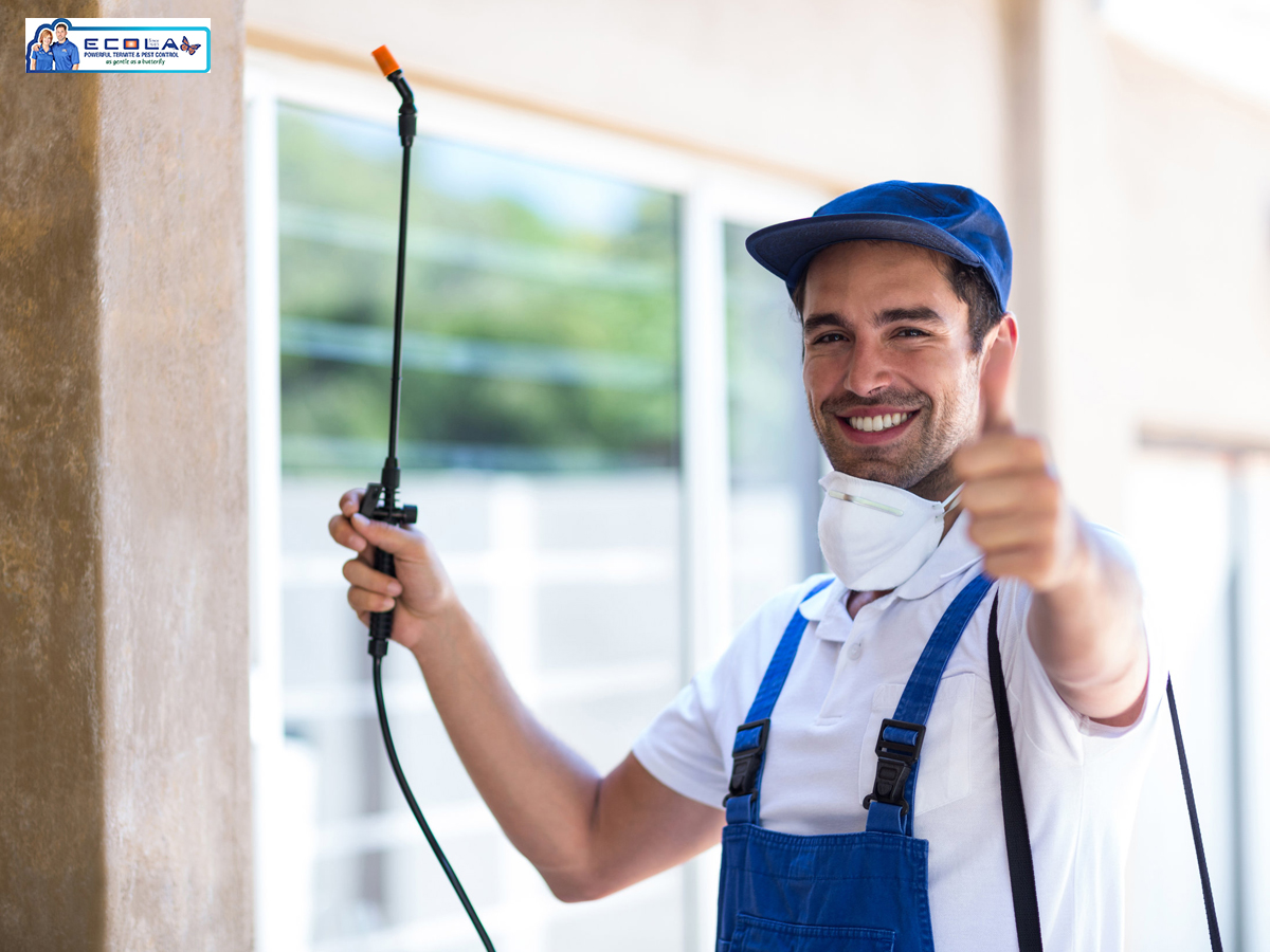 Bug and Pest Control Near Me Services Are Reliable & Easier-To-Find