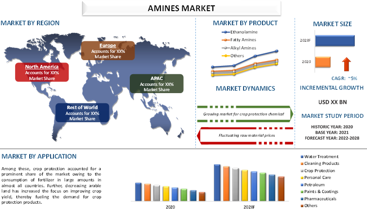The Amines Market: Trends, Challenges, and Future Prospects