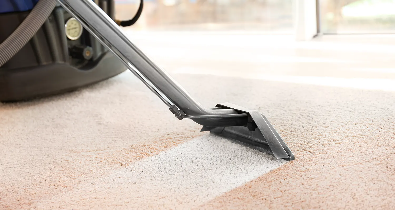 The Vital Components of a Successful Carpet Cleaning Website