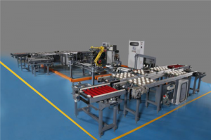 Robotics automation in India